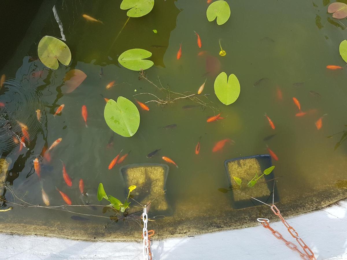 Дургунската Къща -Durgunskata Kashta Hotel Stolat Buitenkant foto