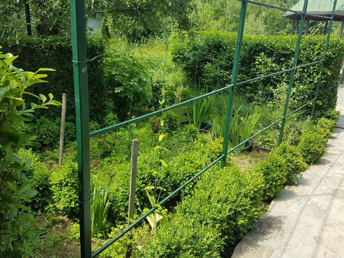 Дургунската Къща -Durgunskata Kashta Hotel Stolat Buitenkant foto