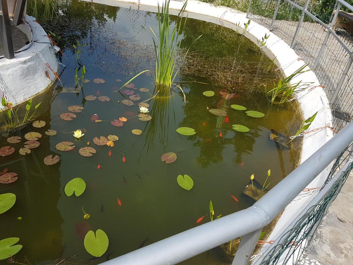 Дургунската Къща -Durgunskata Kashta Hotel Stolat Buitenkant foto