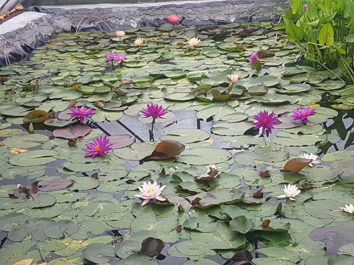 Дургунската Къща -Durgunskata Kashta Hotel Stolat Buitenkant foto
